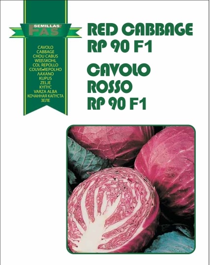 CAVOLO CAPPUCCIO ROSSO RP 90 GG. 1000 SEMI